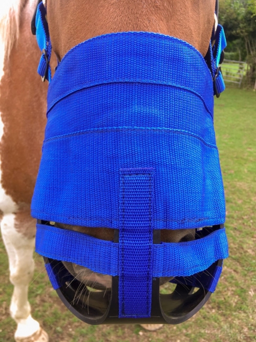 Sizing - Fit Front