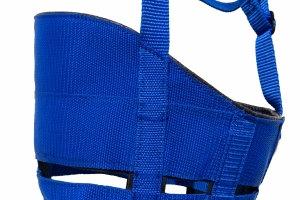 Muzzle Detail 5