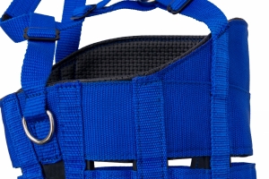 Muzzle Detail 8