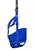 Horse-Side