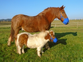 Little and Large