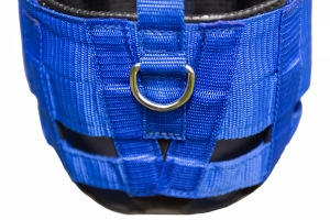 Muzzle Detail 2