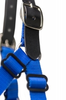 Muzzle Detail 3